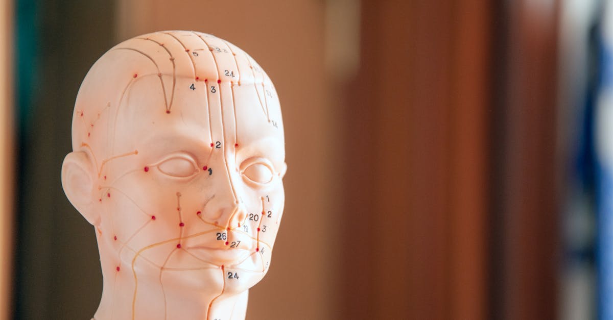 découvrez les bienfaits de l'acupression, une technique ancestrale de médecine douce qui utilise des points de pression sur le corps pour soulager le stress, améliorer la circulation et favoriser le bien-être général. explorez cette méthode naturelle pour le relaxation et l'équilibre intérieur.