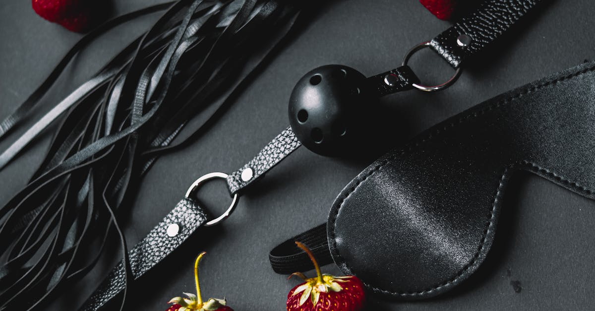 découvrez le monde fascinant du bdsm, ses pratiques, ses philosophies et ses communautés. explorez les dynamiques de pouvoir, la sécurité, le consentement et l'expression personnelle au sein d'une culture riche et variée. que vous soyez novice ou expérimenté, plongez dans un univers où la passion et la confiance se rencontrent.