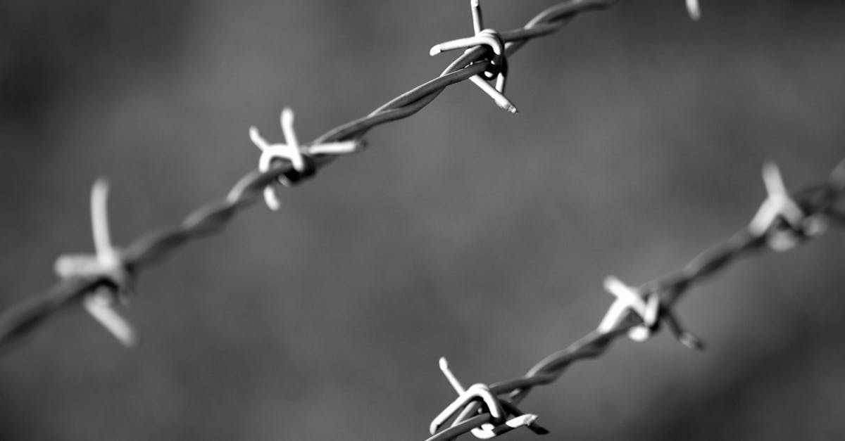 découvrez comment établir des frontières saines dans votre vie pour favoriser des relations équilibrées et améliorer votre bien-être personnel. apprenez à reconnaître vos limites et à les communiquer efficacement.