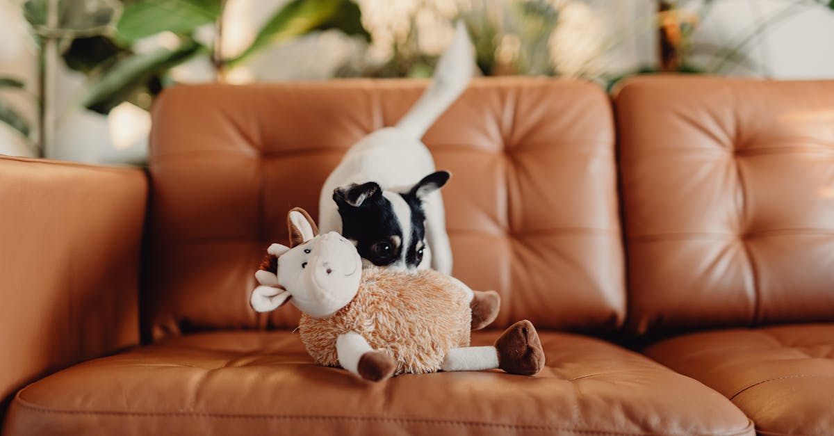 découvrez notre sélection de sex toys, des jouets intimes conçus pour élever votre plaisir et explorer votre sensualité. que vous soyez novice ou expert, trouvez le partenaire idéal pour pimenter votre vie intime et satisfaire toutes vos envies.