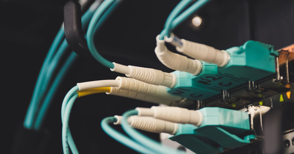 découvrez tout ce qu’il faut savoir sur les plugs anaux : conseils d’utilisation, sécurité, choix des matériaux, et astuces pour une expérience agréable et sécurisée.