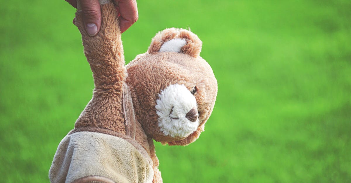 découvrez le monde fascinant des jouets connectés : des objets intelligents pour enfants et adultes qui allient divertissement, apprentissage et technologie. explorez leurs fonctionnalités, avantages et tendances du marché.