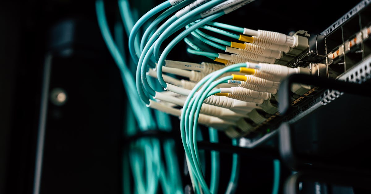 découvrez tout ce qu’il faut savoir sur l’anal plug : bienfaits, conseils d’utilisation, sécurité et choix adaptés pour une expérience confortable, intime et en toute sécurité.
