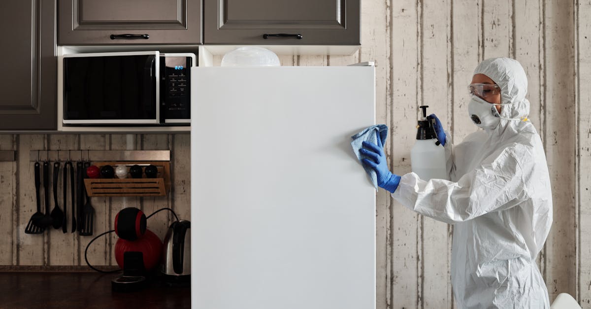 découvrez nos conseils et astuces pour un nettoyage efficace de votre maison ou de votre espace de travail. optez pour des méthodes de cleaning simples et écologiques afin de profiter d’un environnement sain et agréable au quotidien.