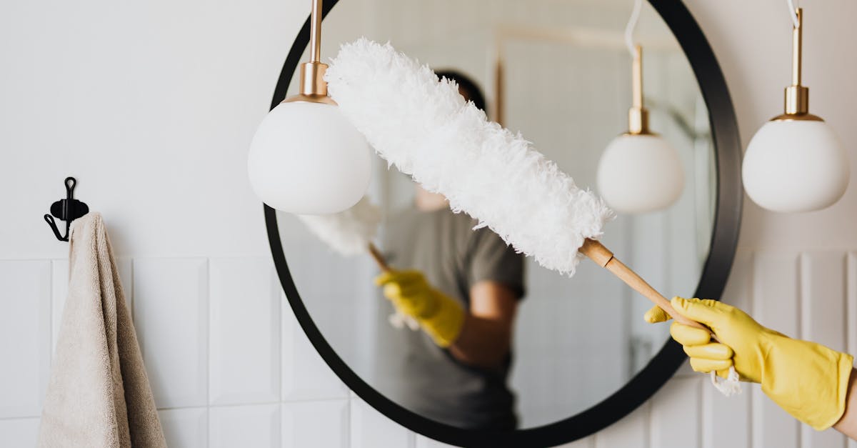 découvrez nos astuces et conseils pour un nettoyage efficace de votre maison ou de votre bureau. adoptez des méthodes simples et écologiques pour un environnement propre et sain au quotidien.