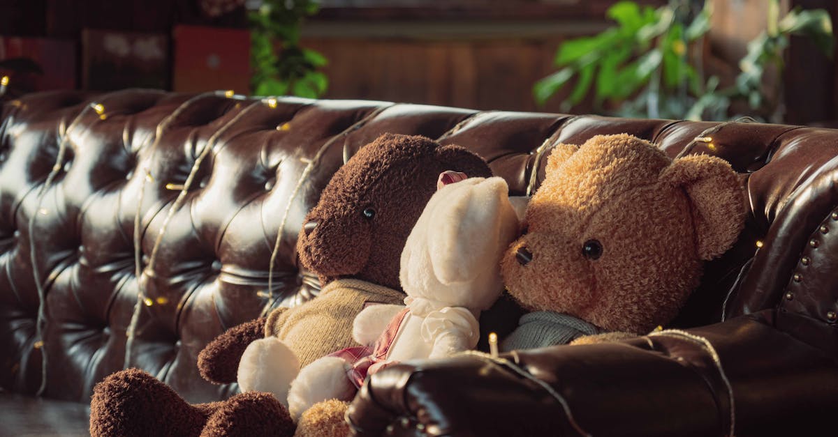 découvrez duo toys, le spécialiste des jouets pour enfants alliant qualité, sécurité et créativité. offrez le meilleur à vos enfants avec une sélection unique et ludique !