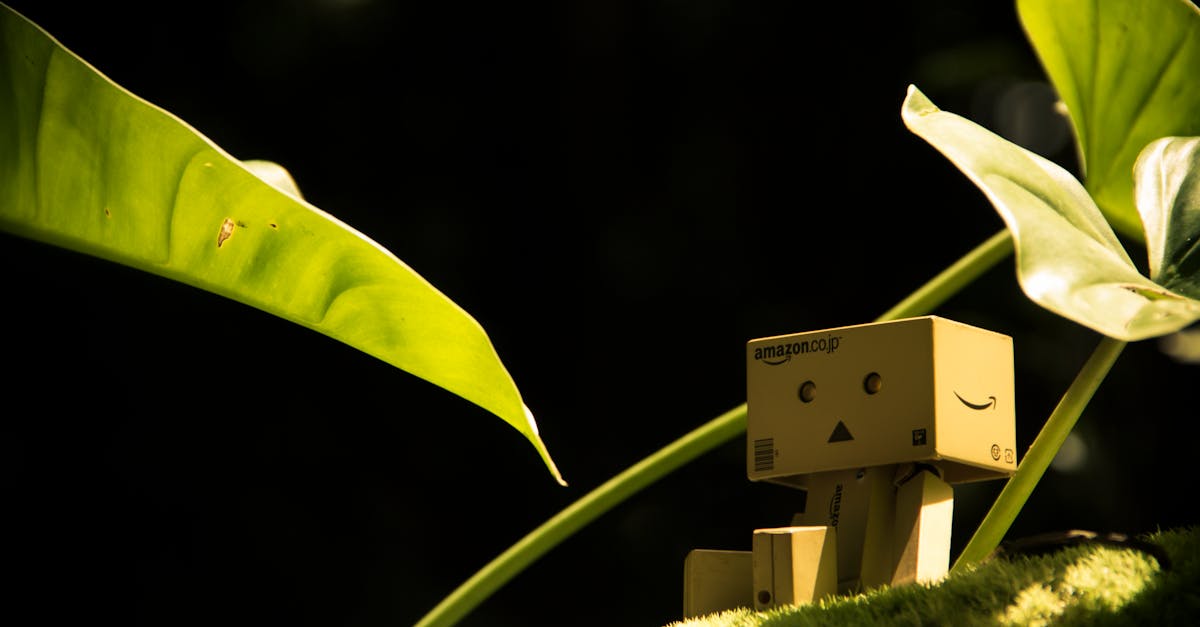 découvrez un sextoy éco-responsable alliant plaisir et respect de l’environnement. profitez d’une expérience intime sûre, durable et respectueuse de la planète avec notre gamme d’accessoires érotiques écologiques.
