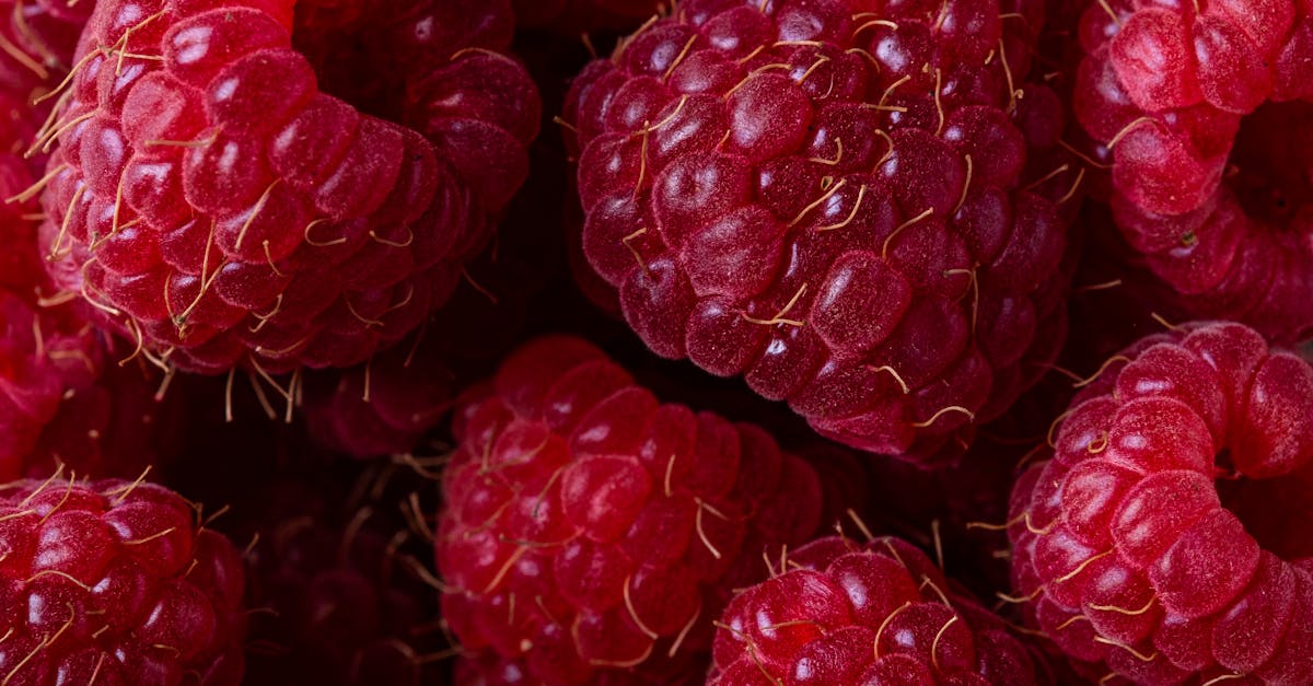 découvrez notre lubrifiant comestible, idéal pour pimenter vos moments intimes en toute sécurité. formulé à base d’ingrédients sûrs, il allie plaisir, douceur et gourmandise pour une expérience sensorielle unique.
