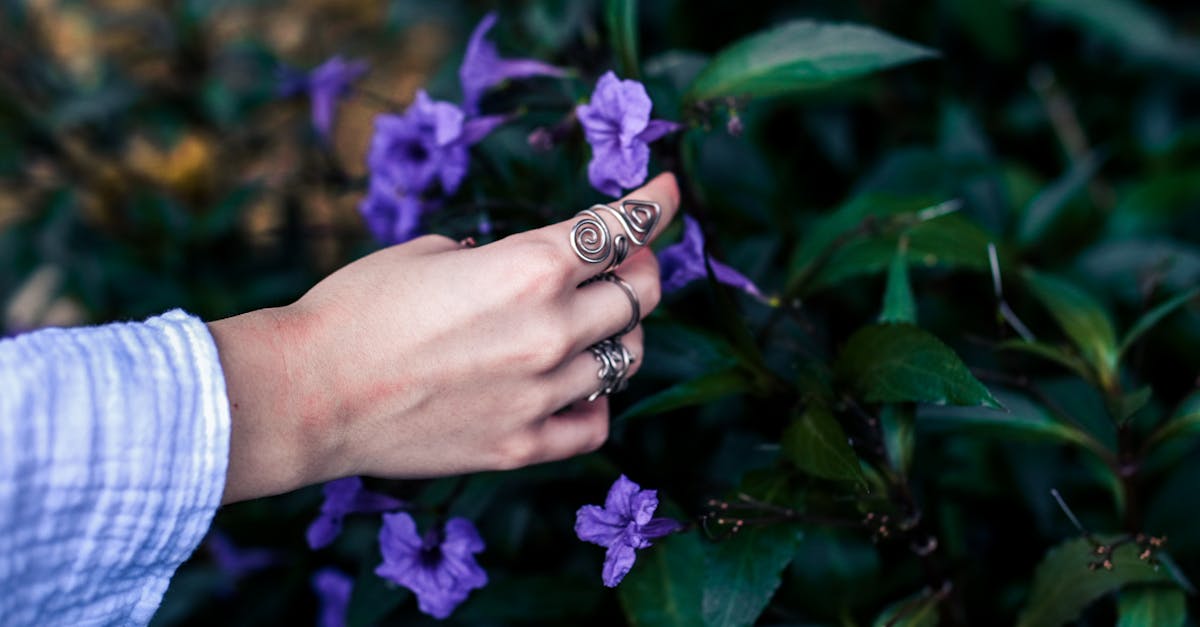 découvrez notre collection d’accessoires élégants pour sublimer votre style au quotidien : bijoux raffinés, sacs tendance, montres sophistiquées et bien plus encore.