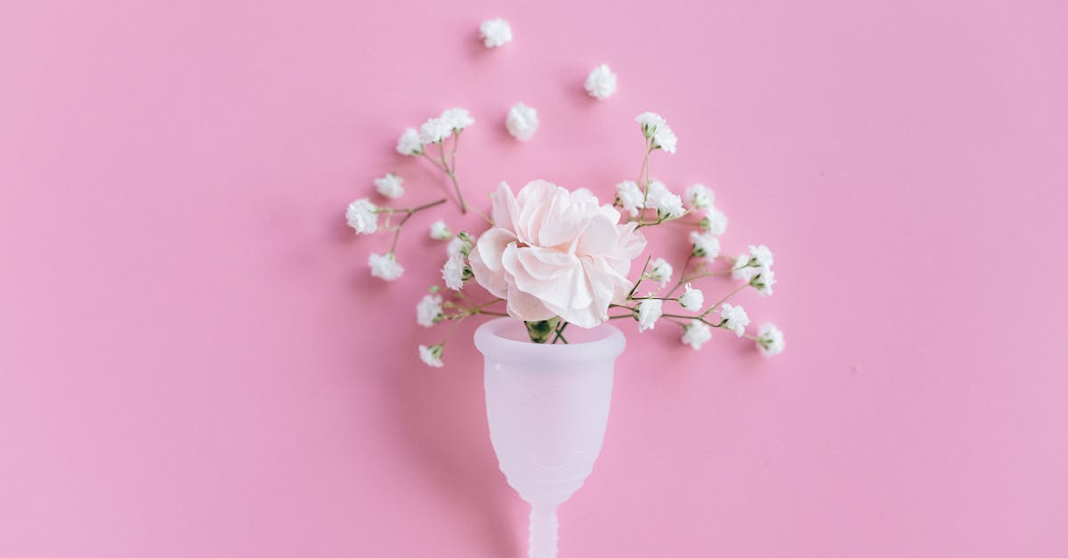 découvrez nos conseils et solutions pour l'hygiène intime, afin de préserver votre bien-être et votre confort au quotidien. adoptez de bonnes pratiques pour une intimité saine et respectée.