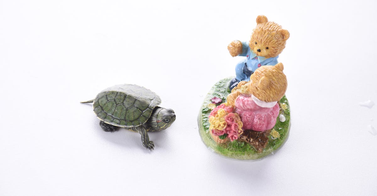 découvrez notre sélection innovante de jouets érotiques : des accessoires tendance pour pimenter vos moments intimes et explorer de nouveaux plaisirs en toute discrétion.