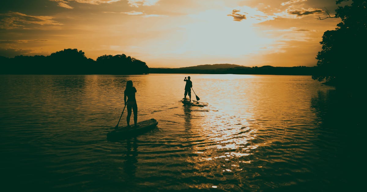 découvrez tout ce qu'il faut savoir sur le paddle : conseils pour débutants, techniques, équipements indispensables et meilleurs spots pour pratiquer ce sport nautique tendance.