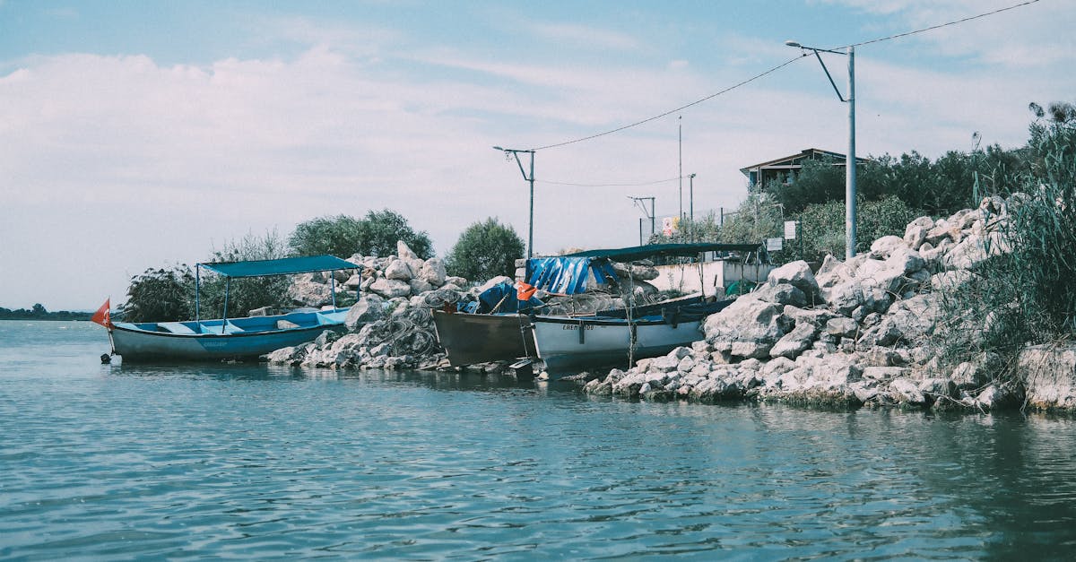 découvrez tout sur le paddle : actualités, conseils, équipements et astuces pour pratiquer ce sport nautique accessible et ludique. débutez ou améliorez votre technique dès maintenant !
